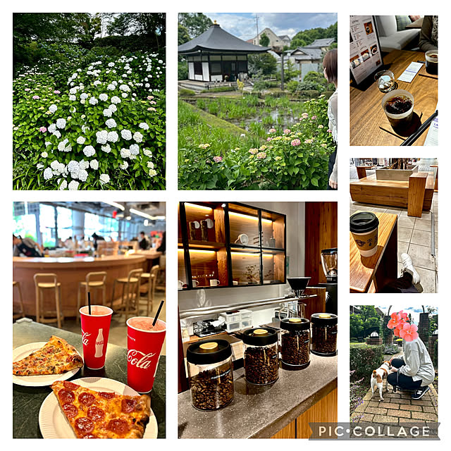 kittyさんの部屋