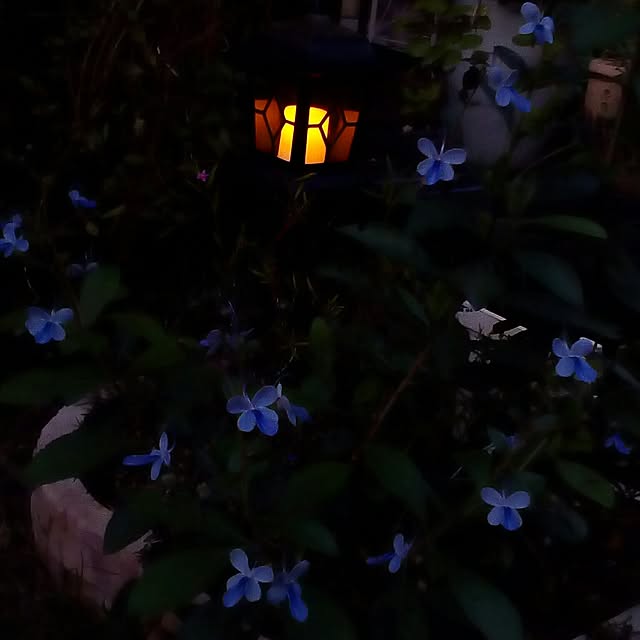 mariagardenさんの実例写真