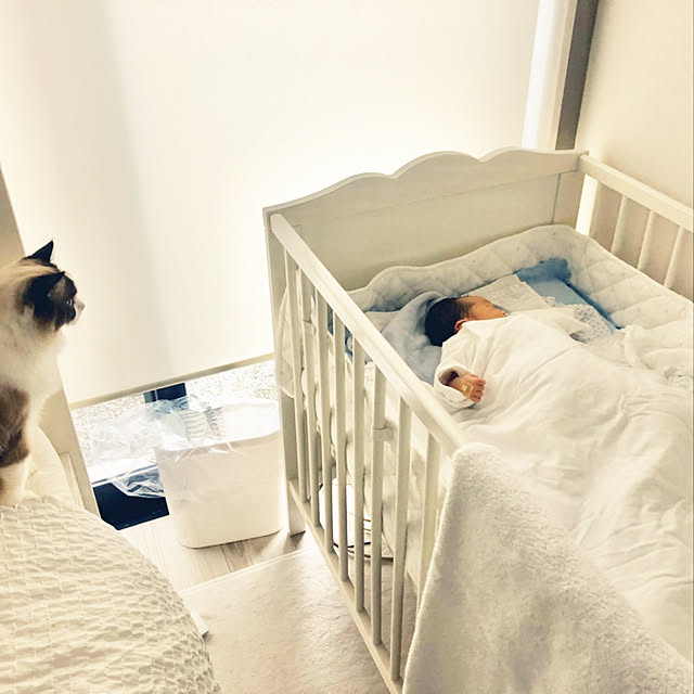 gingerwynksさんの実例写真