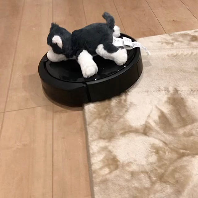 kenkoさんの実例写真