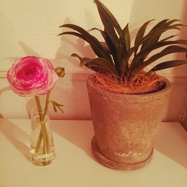 ruiji.sissyさんの実例写真