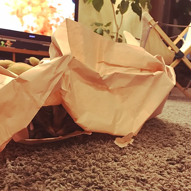 noraさんの実例写真