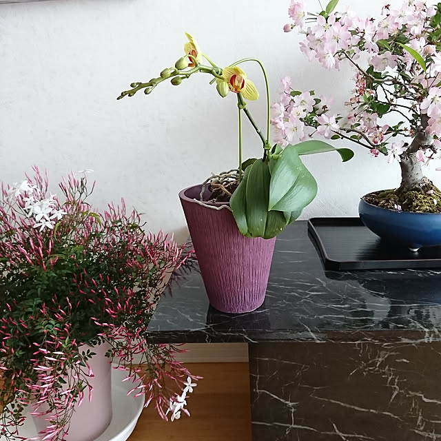 bonobono54さんの実例写真
