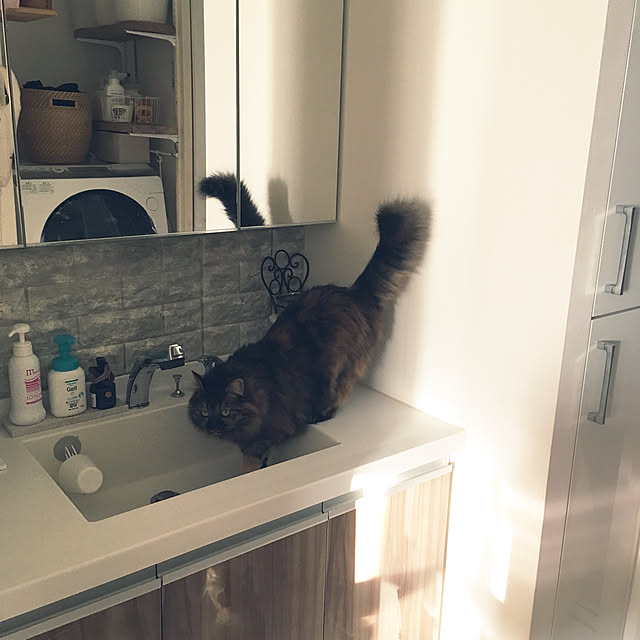 mikomaruさんの実例写真