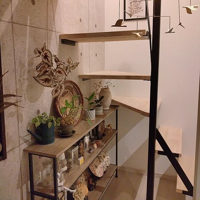okameさんの部屋