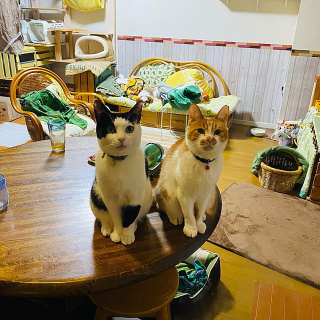 SHIHOさんの実例写真