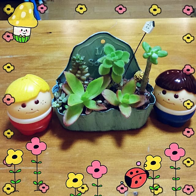 Yumiさんの実例写真