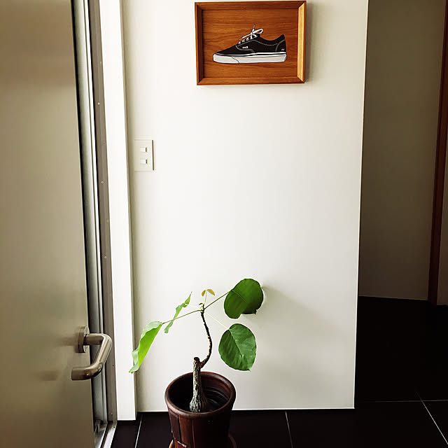 funqtaroさんの実例写真