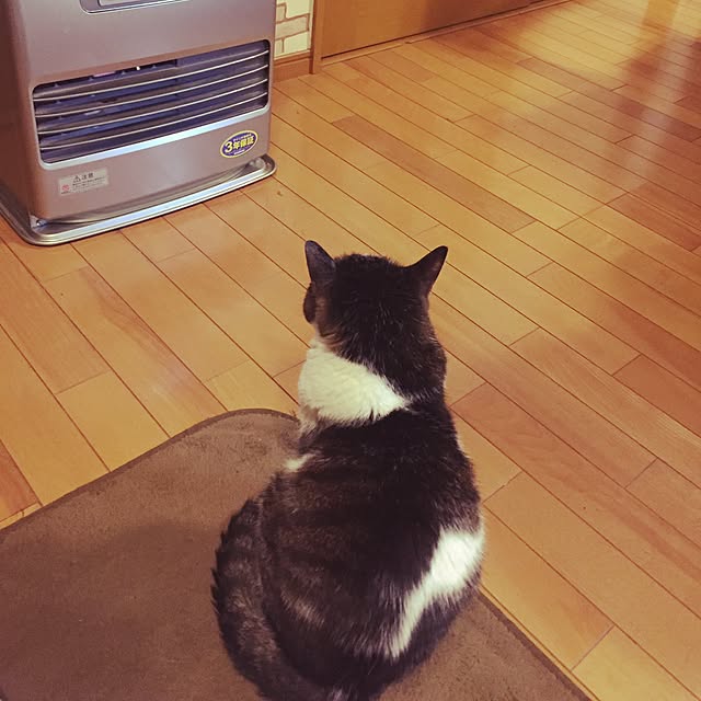 Akiさんの実例写真