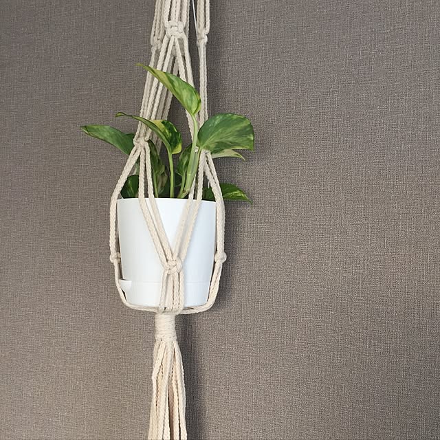 hanutaさんの実例写真