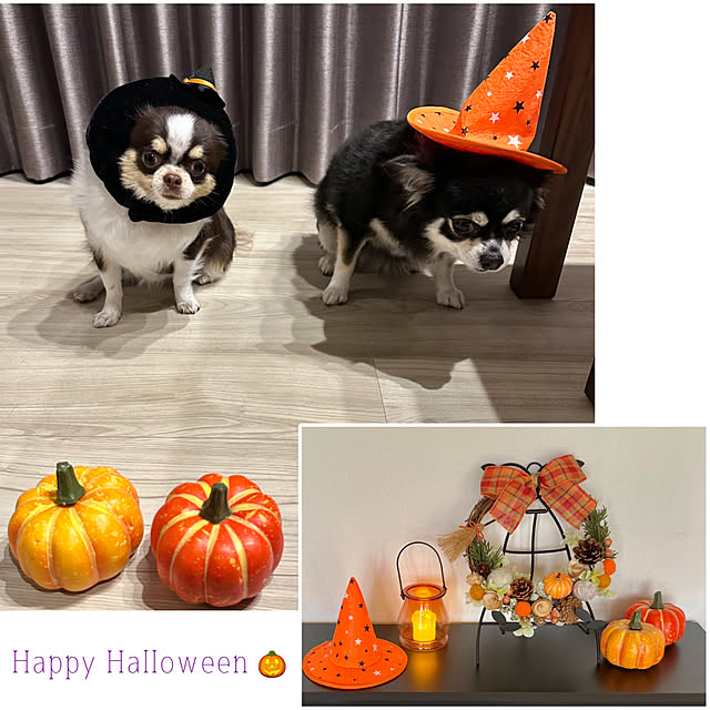 Hannahさんの実例写真