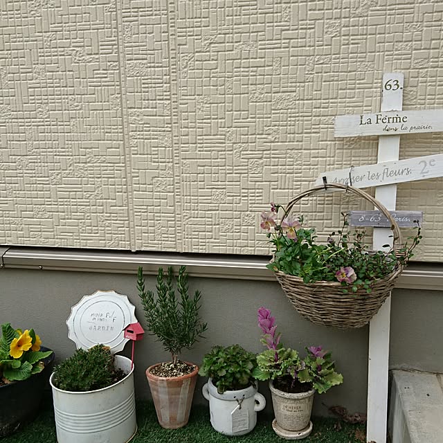 manapipiさんの実例写真