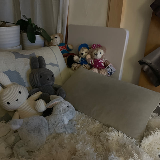 nextagejpnさんの実例写真