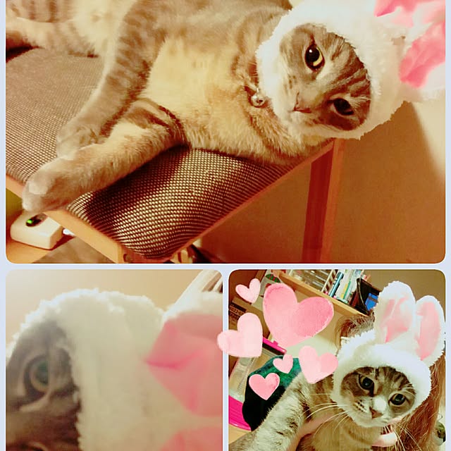 oyumiさんの実例写真