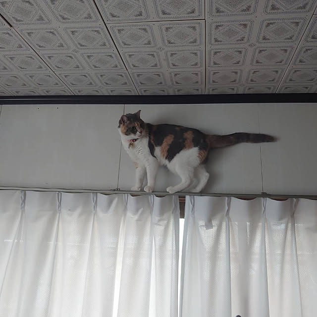 fukuさんの実例写真