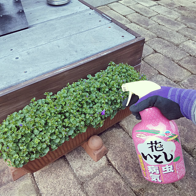 ampinさんの実例写真