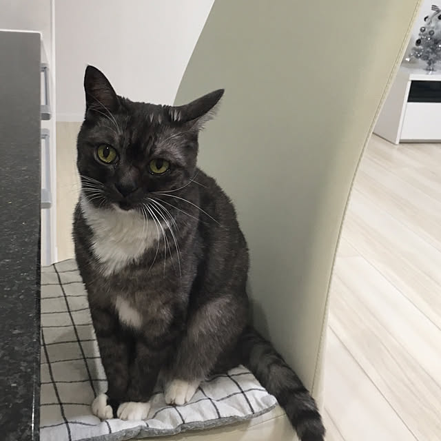 Rさんの実例写真