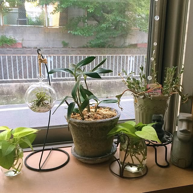 panchanさんの実例写真