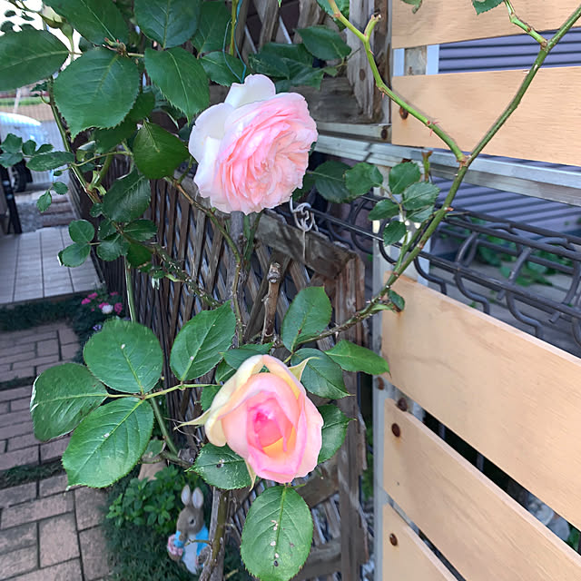 KYONさんの部屋