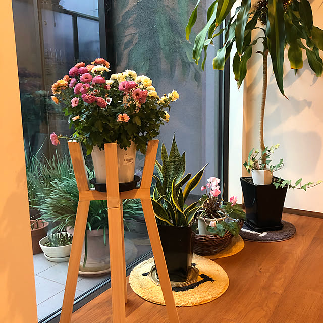 daisuke_mさんの実例写真