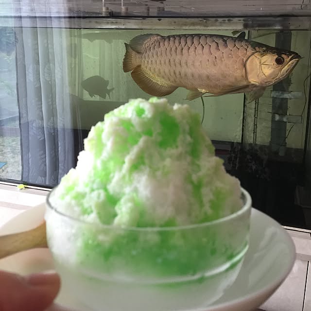 実例写真