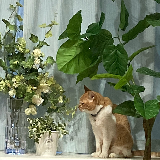 chakuron.iさんの実例写真