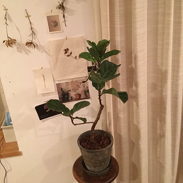 kpyさんの実例写真