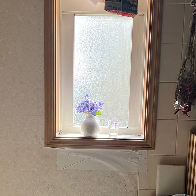 chi_gogaさんの部屋