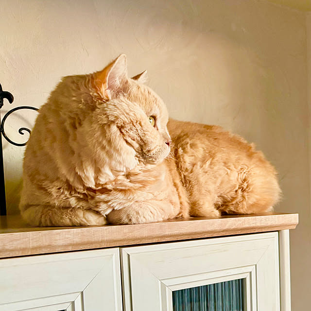 naokoさんの部屋