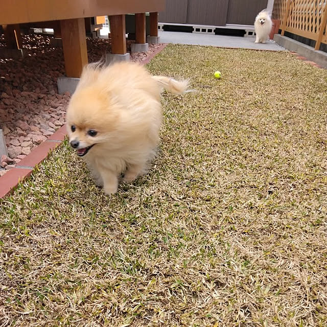 moyoさんの実例写真