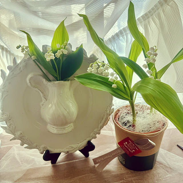 cocoさんの部屋