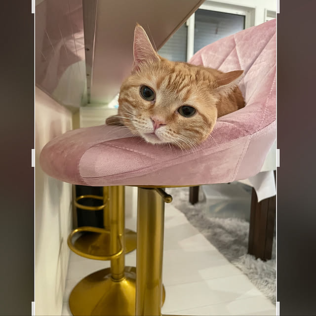 ayucoさんの実例写真