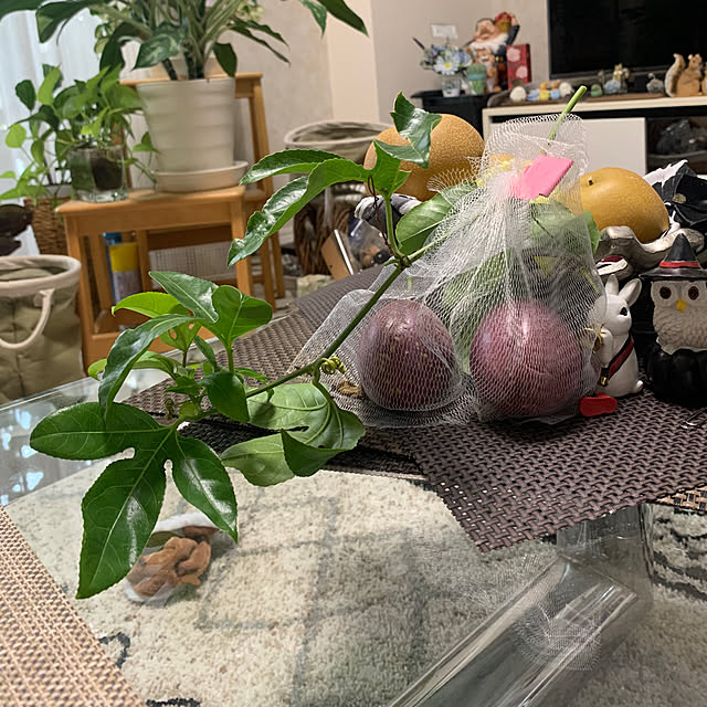 Aqettyさんの部屋