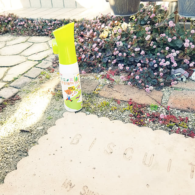 miiさんの実例写真