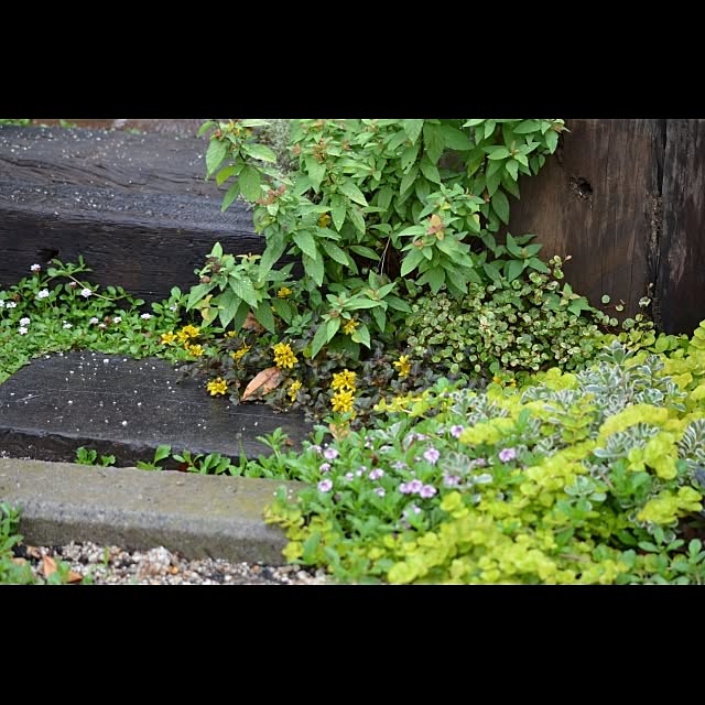 GreenWorksさんの実例写真