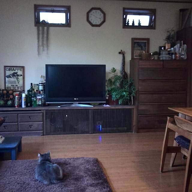 ayuさんの実例写真