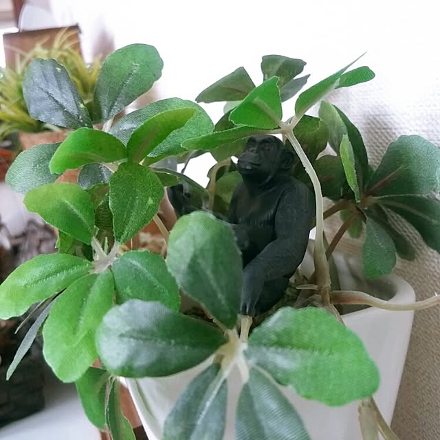 akikoさんの実例写真