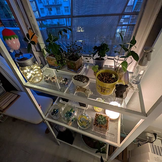 mi-saさんの部屋