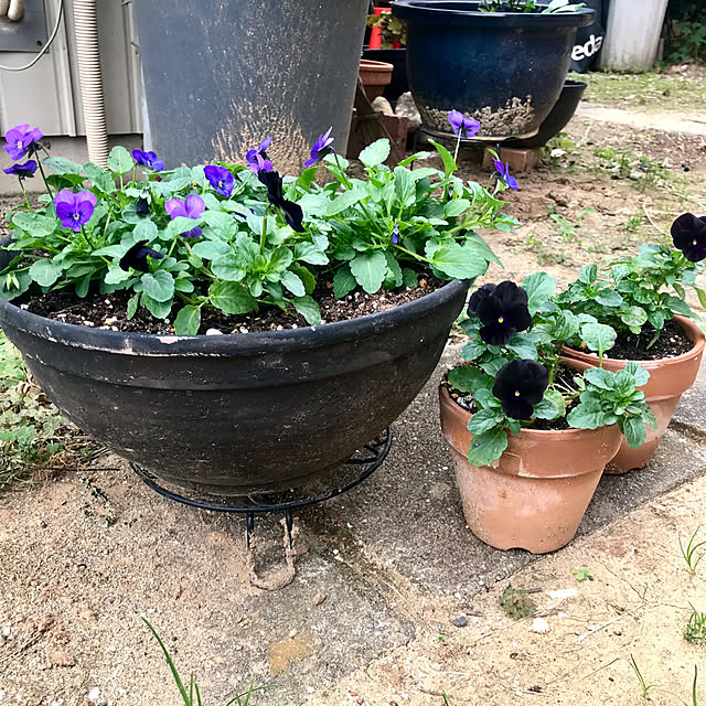 Sakkoさんの部屋