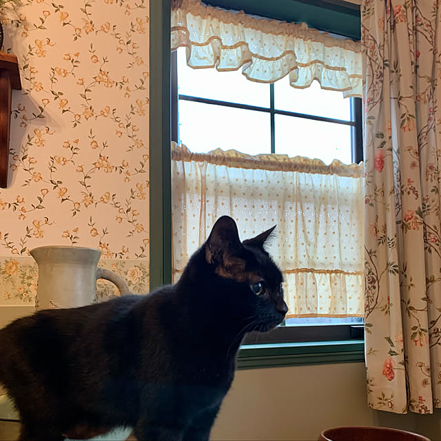 tabasaさんの実例写真