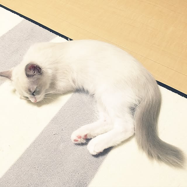 rbesfさんの実例写真