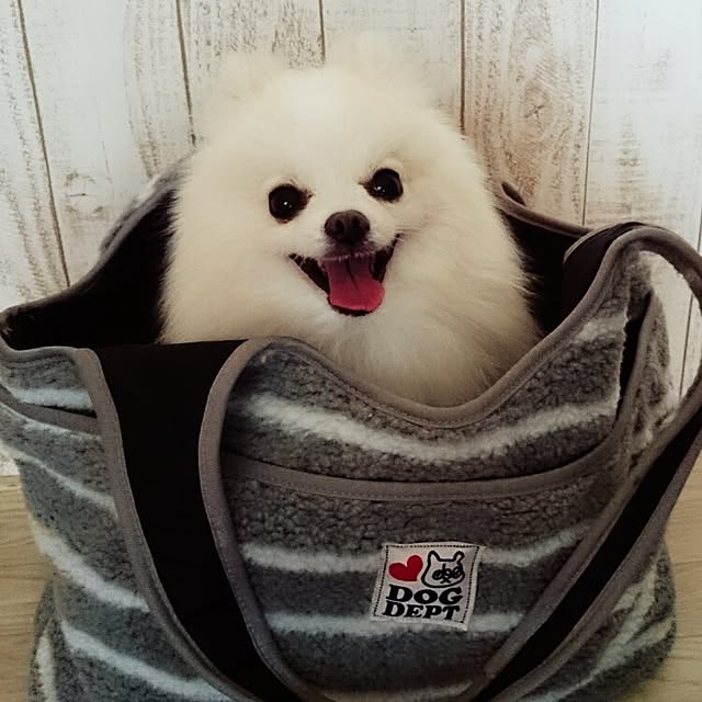 yukaさんの実例写真
