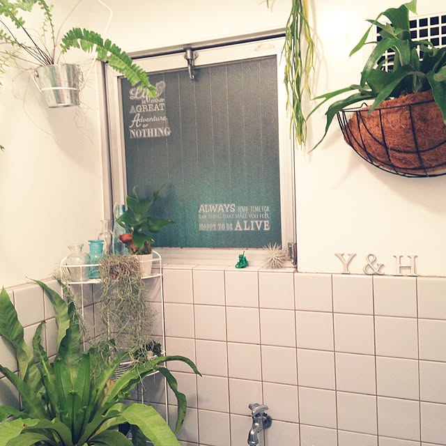 バス/トイレ/シダ植物/植物/テクトラム/賃貸...などのインテリア実例 - 2016-05-23 22:19:58