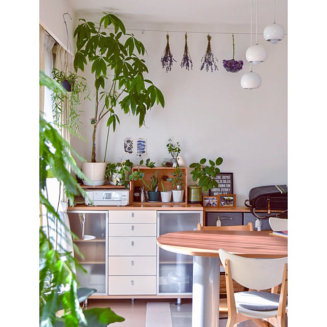 部屋全体/暮らしを整える/ナチュラルインテリア/マンション/植物のある暮らし...などのインテリア実例 - 2018-07-10 20:20:35