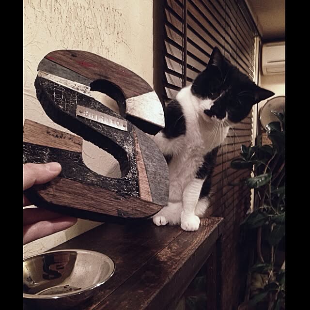 jnkaiさんの実例写真