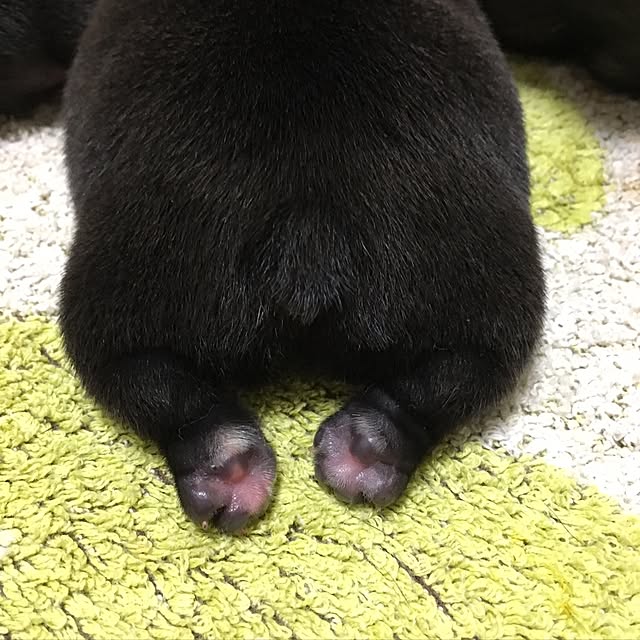 oggy0301さんの実例写真