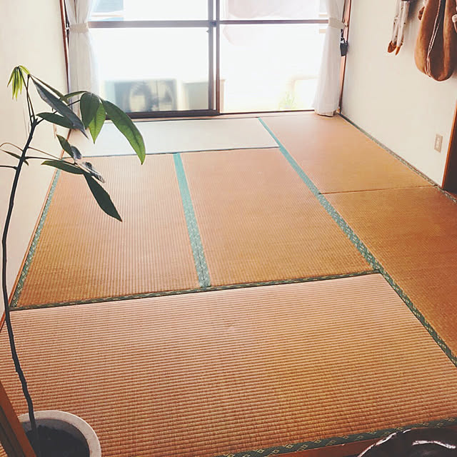 yoruさんの実例写真