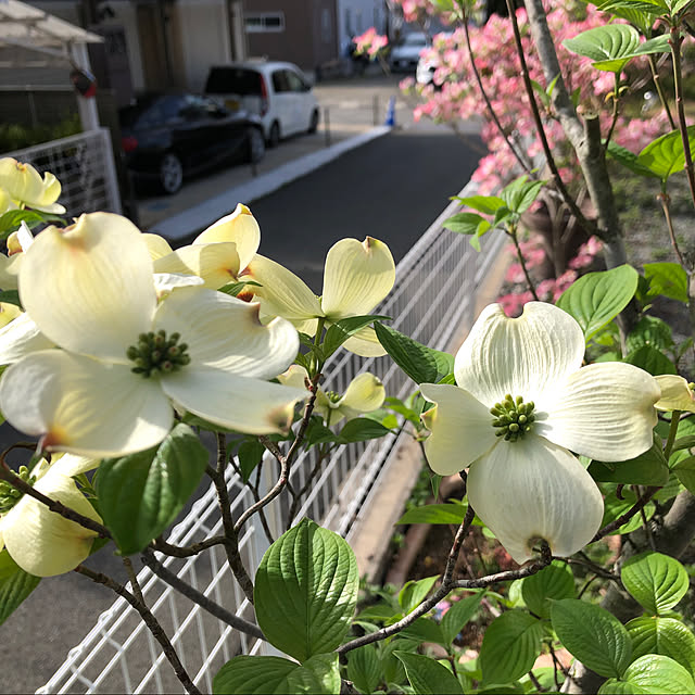 Andaluciaさんの実例写真