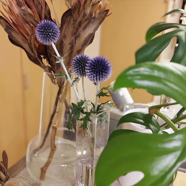 makkyさんの部屋