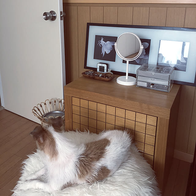 masamyさんの実例写真